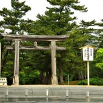 izumo8