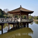 nara6
