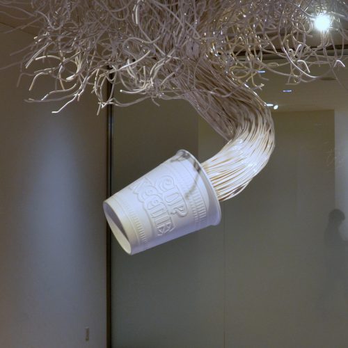 cnoodle_museum