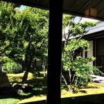 nationa_noh_theatre6