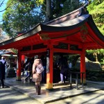 1-IMG_8394
