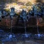 1-IMG_8418-001