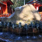 1-IMG_8418