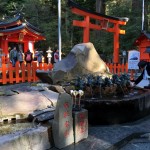 1-IMG_8419