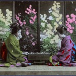 Ohanasan playing go game