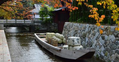 Fushimi in Autumn