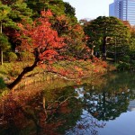 rikugien8