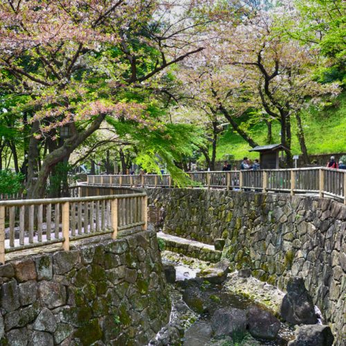 Otonashi_Park2