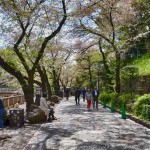 Otonashi_Park3