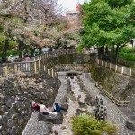 Otonashi_Park5