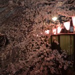meguro-river12