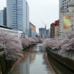 meguro-river2