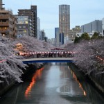 meguro-river5