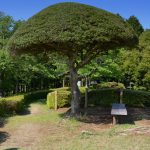 YamanakaCastle11