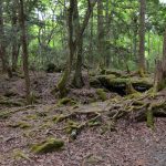 fugaku_cave_28