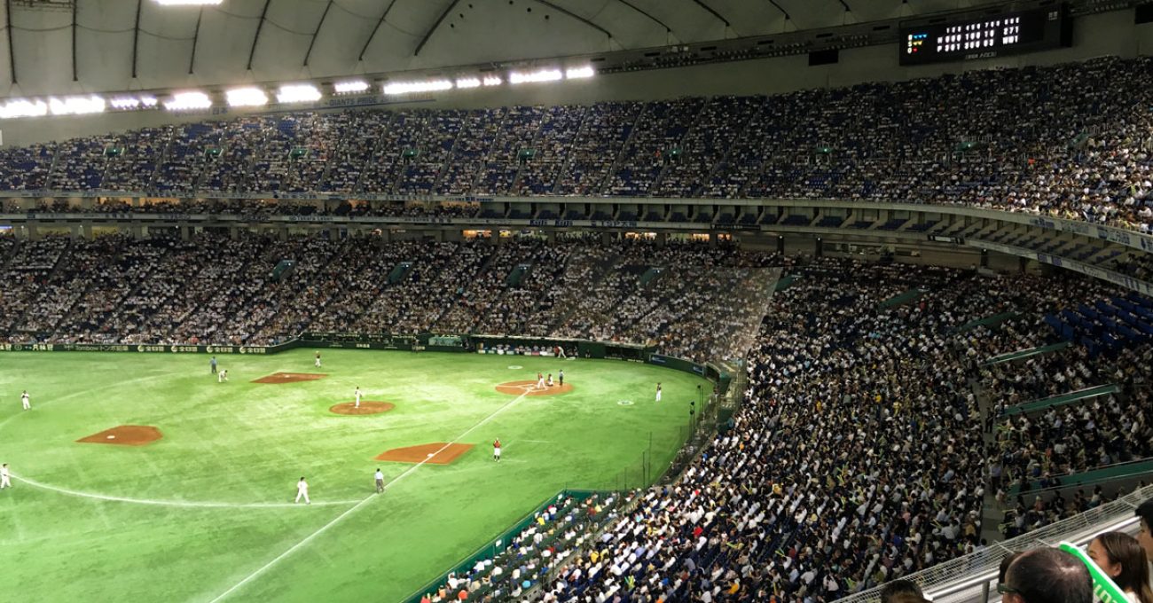 PAVEMENT 2/15 LIVE Tokyo dome city 【公式通販】 PAVEMENT 2/15 LIVE Tokyo dome city 【公式通販】