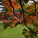 hamarikyu_6