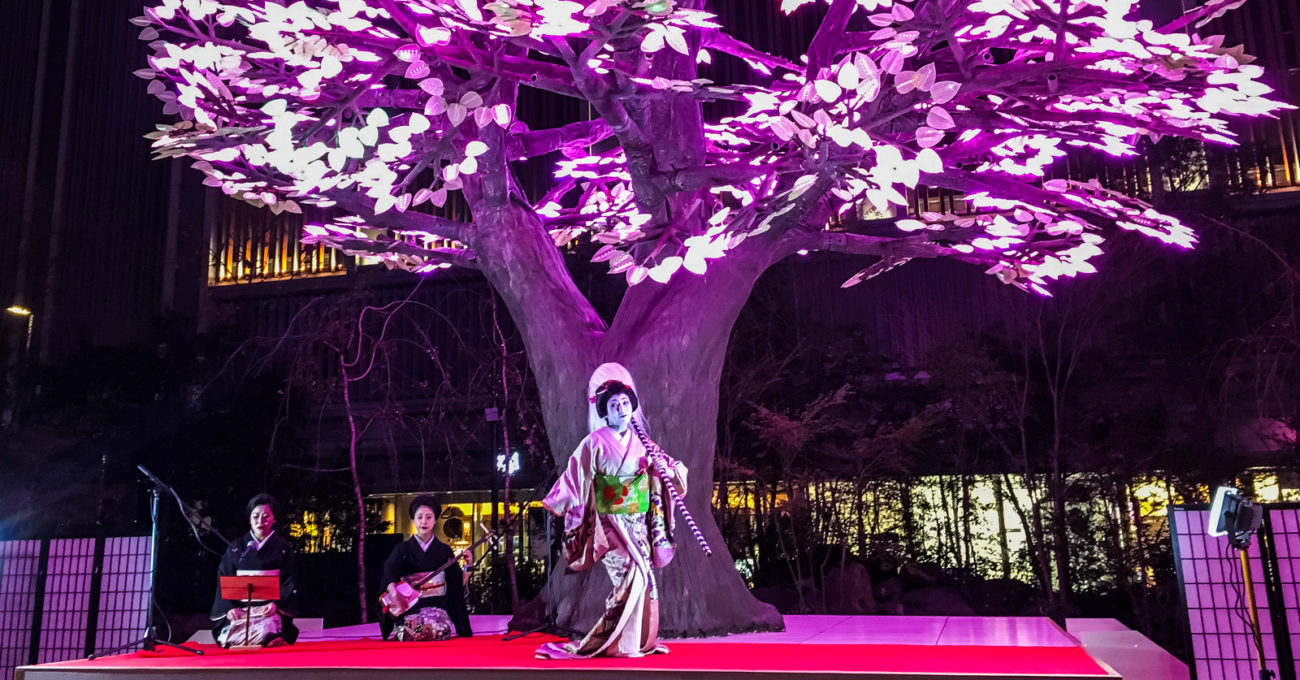 Nihonbashi Sakura Festival