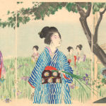 Shuntei Miyagawa iris