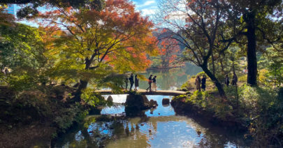 Autumn in Tokyo: Rikugien Gardens