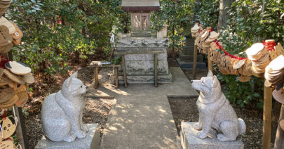 Inuneko Jinja, a Shrine to pray for your pets