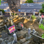 hatonomori-hachiman-14