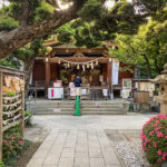 hatonomori-hachiman-17