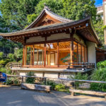 hatonomori-hachiman-18
