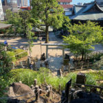 hatonomori-hachiman-8