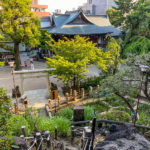 hatonomori-hachiman_8