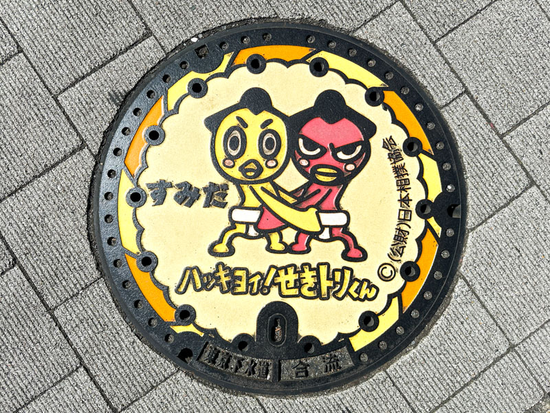 Sumo Ryogoku Kokugikan