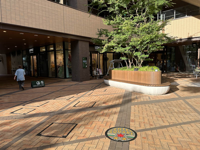 Kawasaki manhole