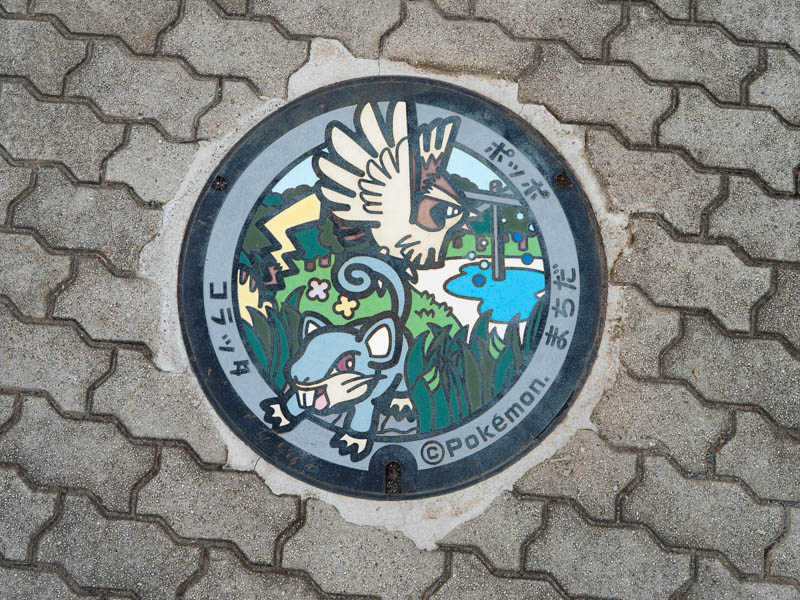 Pokemon manhole - Machida