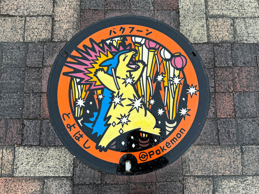 Poké Lids, Pokémon